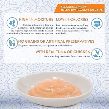 Inaba Churu Skin & Coat Chicken 14G