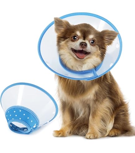 Petbroo Vet Collar Small For Dogs & Cats