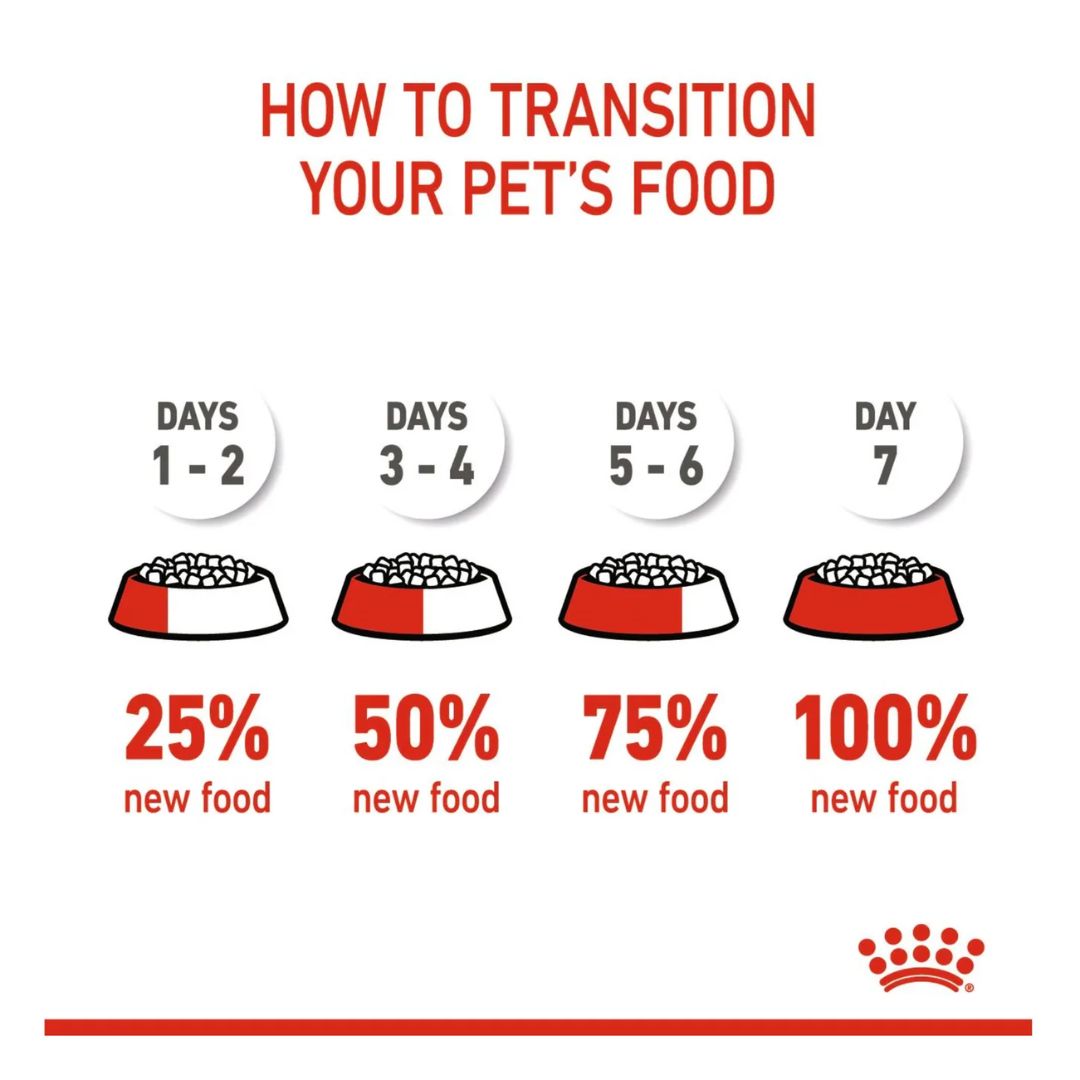 Royal Canin Feline Health Kitten Dry food 2kg