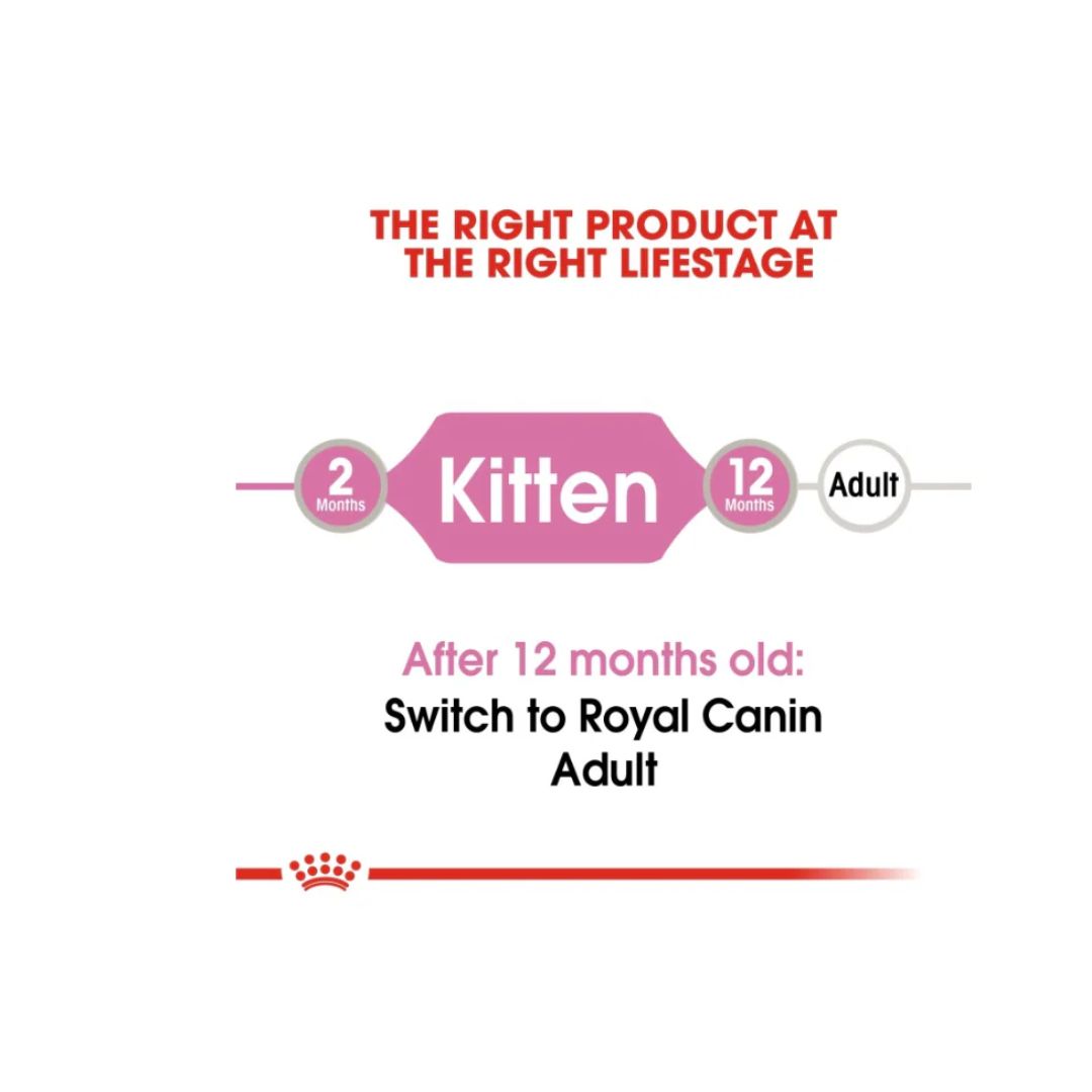 Royal Canin Feline Health Nutrition Kitten Jelly (WET FOOD )