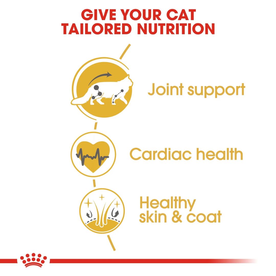 Royal Canin Feline Breed Nutrition Maine Coon Adult Cat Dry food 2kg