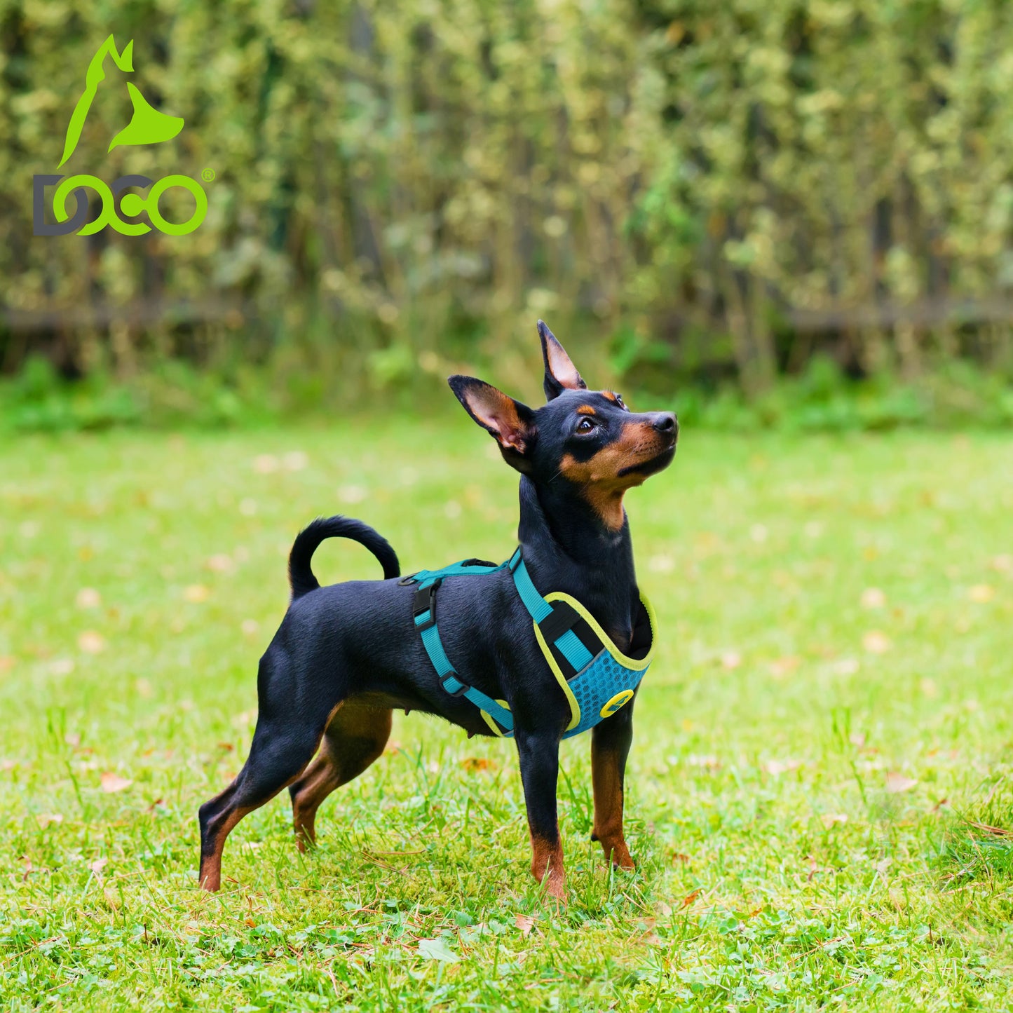 Doco Super Comfortable 3D Foam Dog Harness