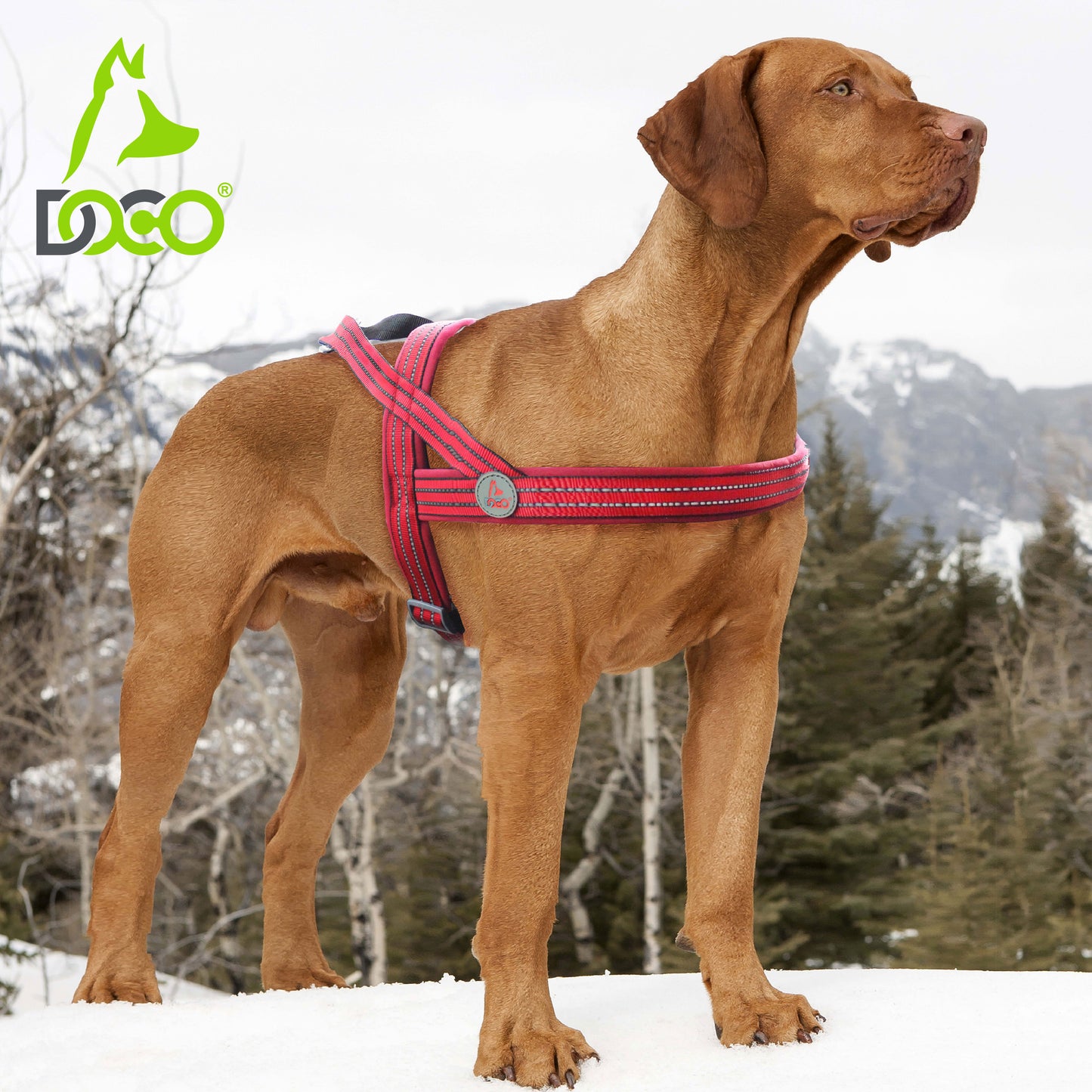 Doco Vario Neoprene Reflective Harness – Comfortable Dog Harness
