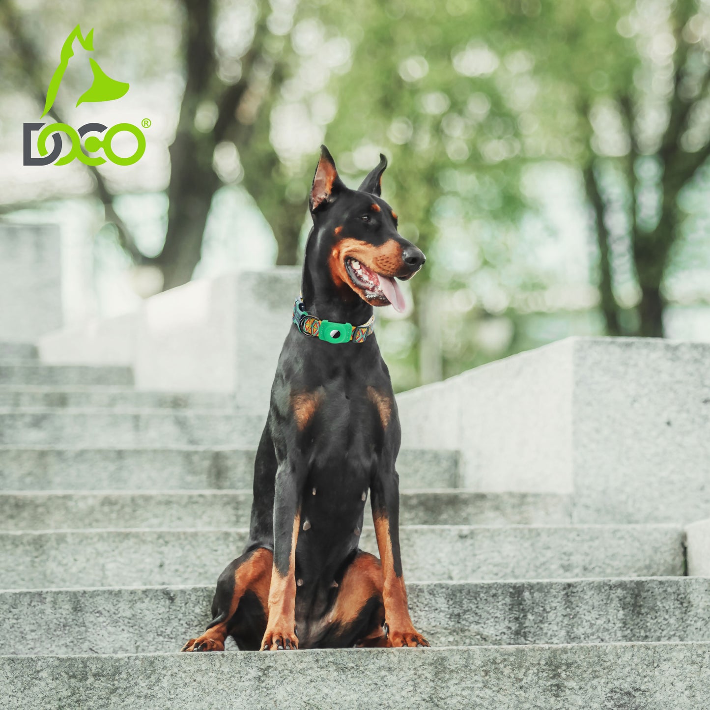 Doco Airtag Dog Collar – 2.5x45-68cm – Adjustable D-Ring Fit