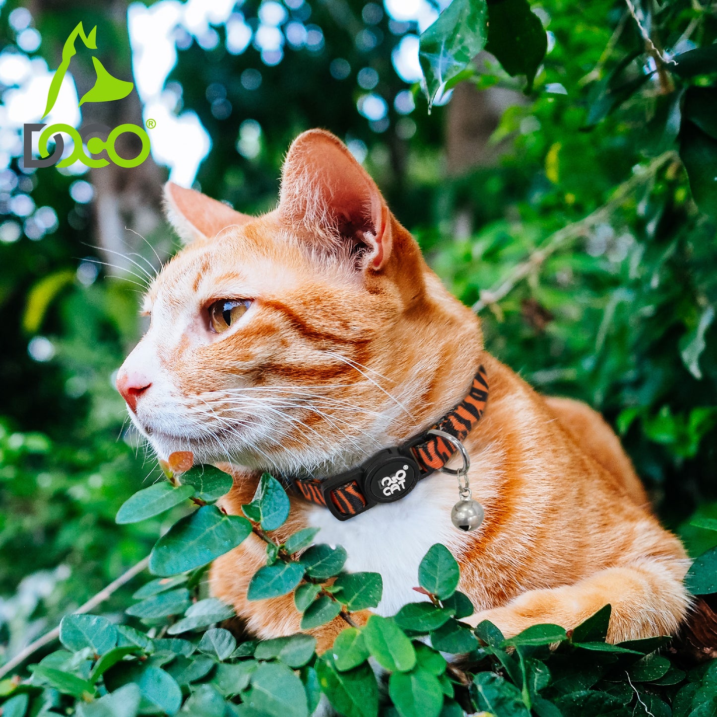 Doco Loco Cat Collar