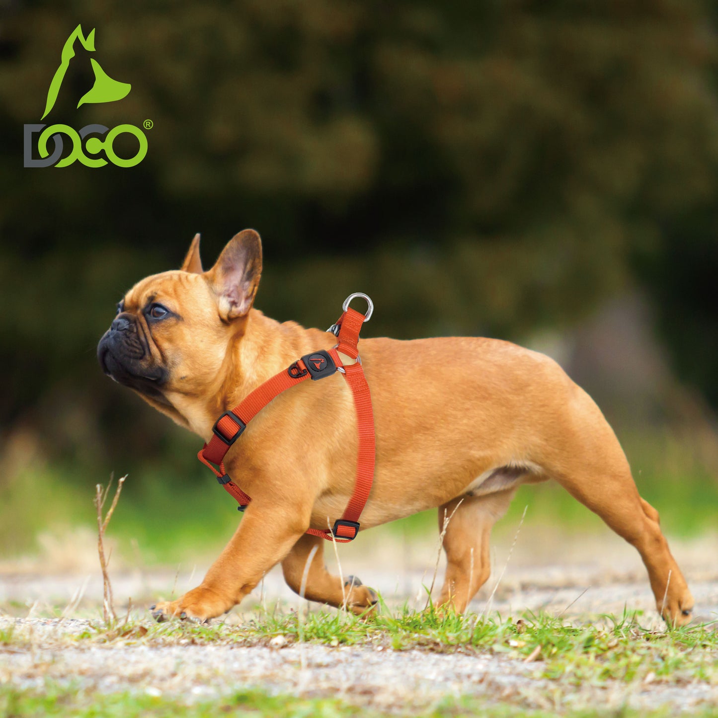 Doco Signature Step-In Dog Harness – Comfortable Harness