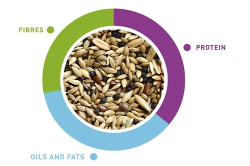 Padovan Naturalmix Canarini[Weight - 1kg]