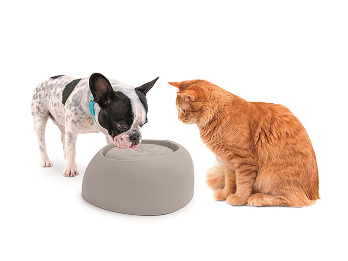 Imac Pet Drinking Fountain for Cats & Dogs – 2L – 32×28×13 cm