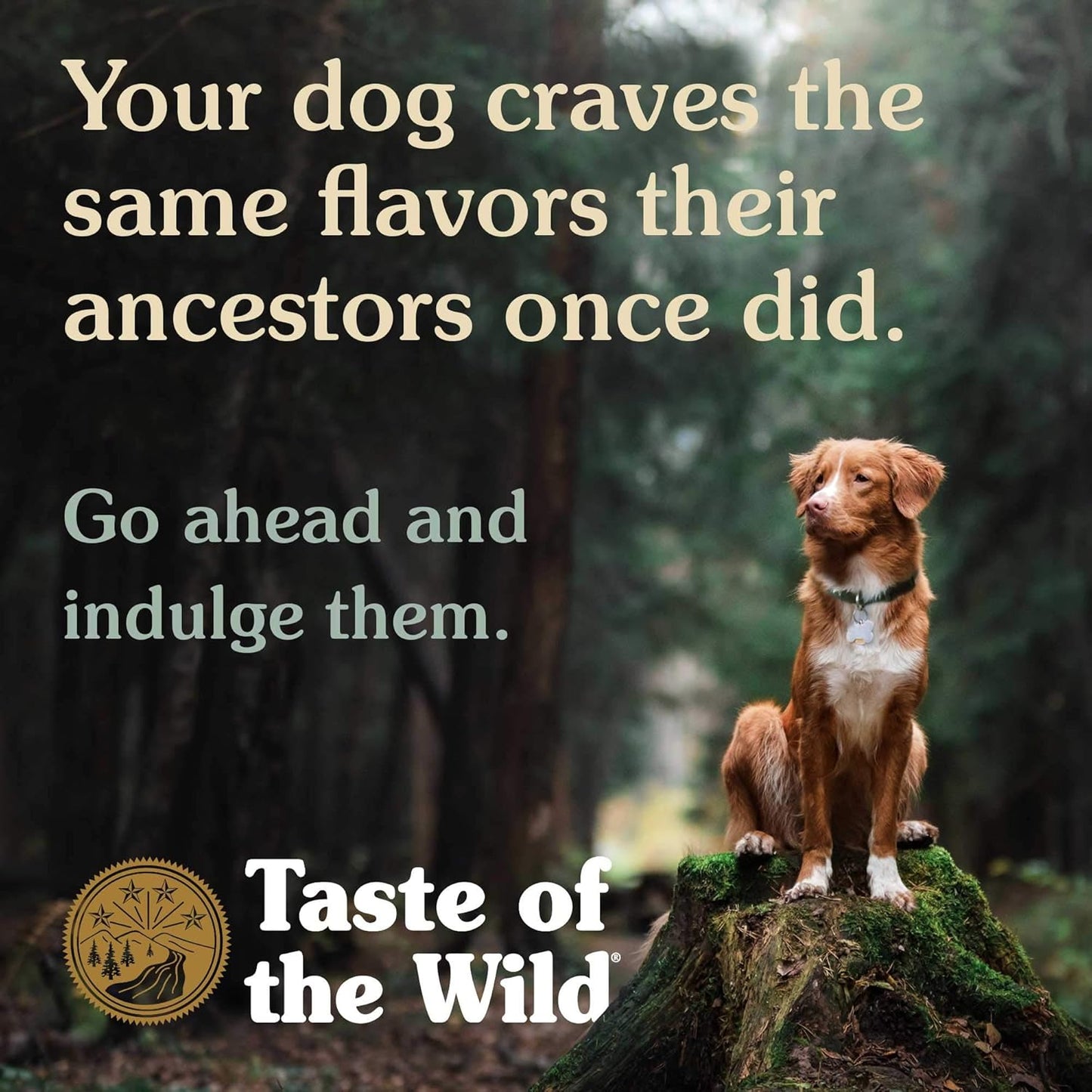 Taste Of The Wild High prairie Roasted Bison & Roasted Venison 2kg