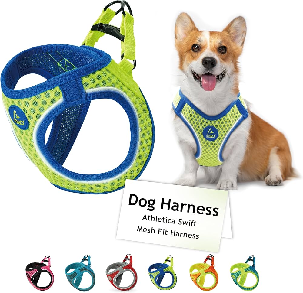 Doco® Net Mesh Sport Harness (Dca312)Sizes: L, Color: Safety Lime