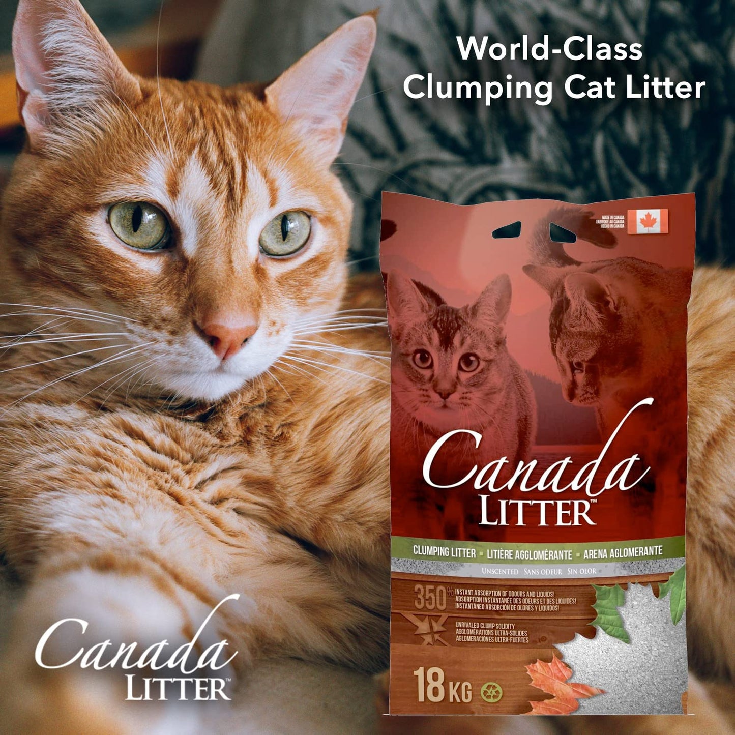Canada Cat Litter Clumping Unscented 18Kg