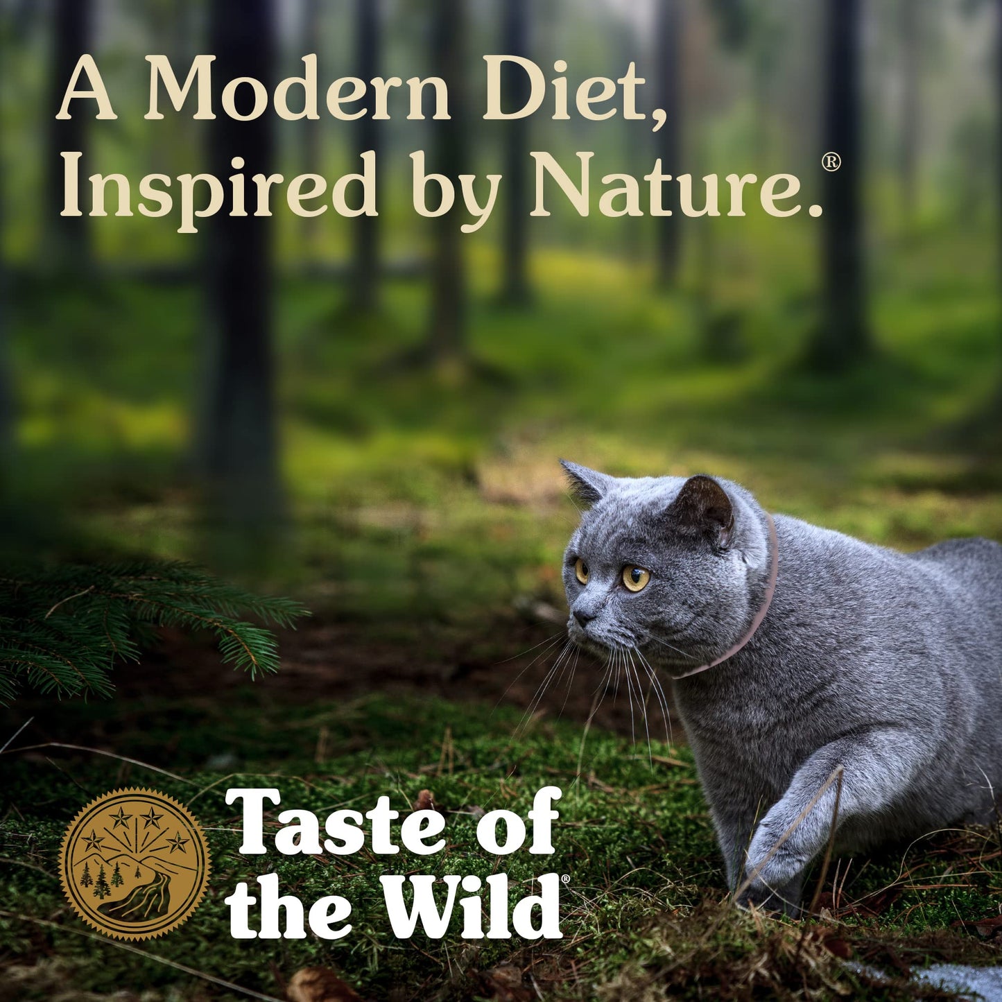 Rocky Mountain Feline Recipe With Roasted Venison & Smoked Salmon 2Kg (Cat)