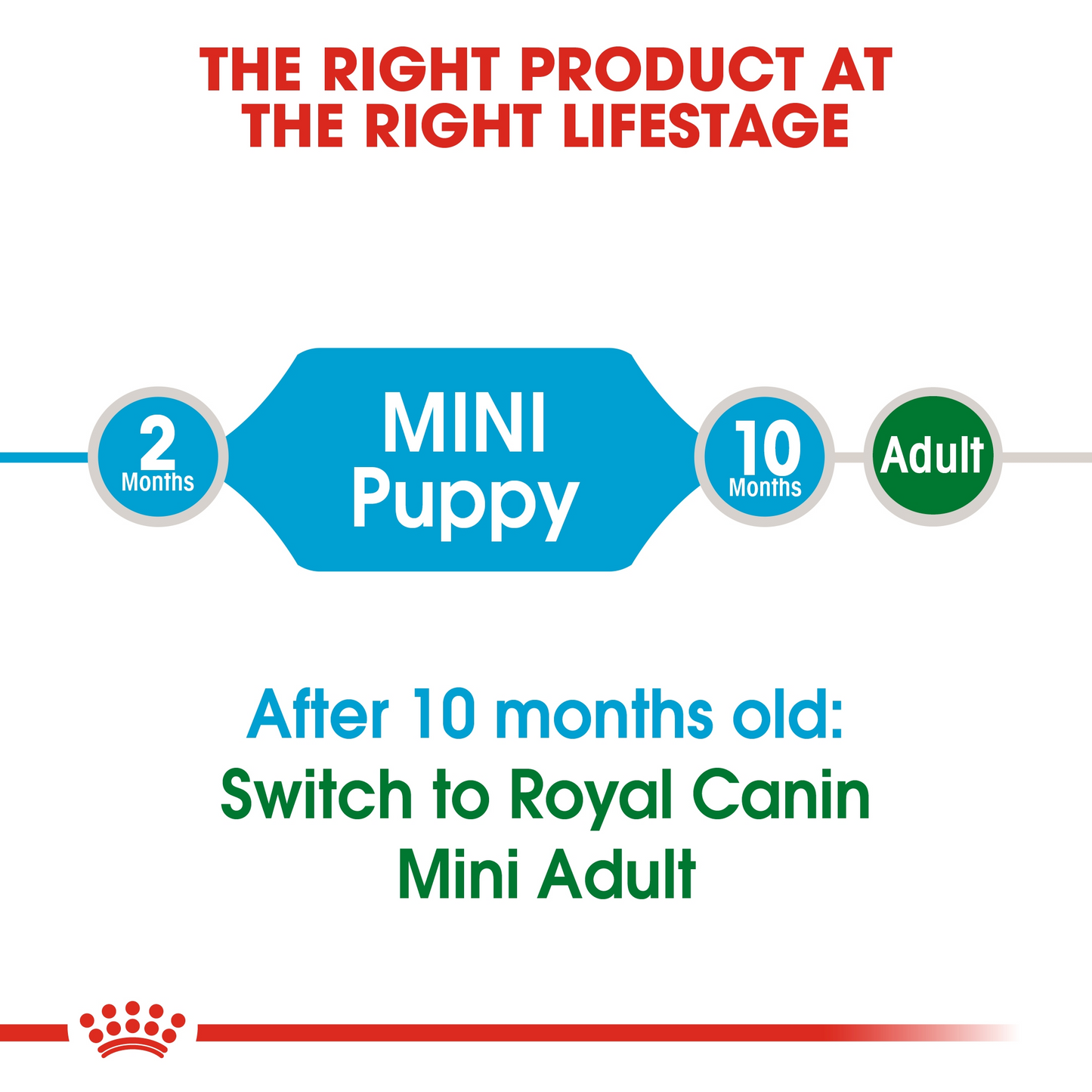 Royal Canin Size Health Mini Puppy Dog Dry Food 4kg