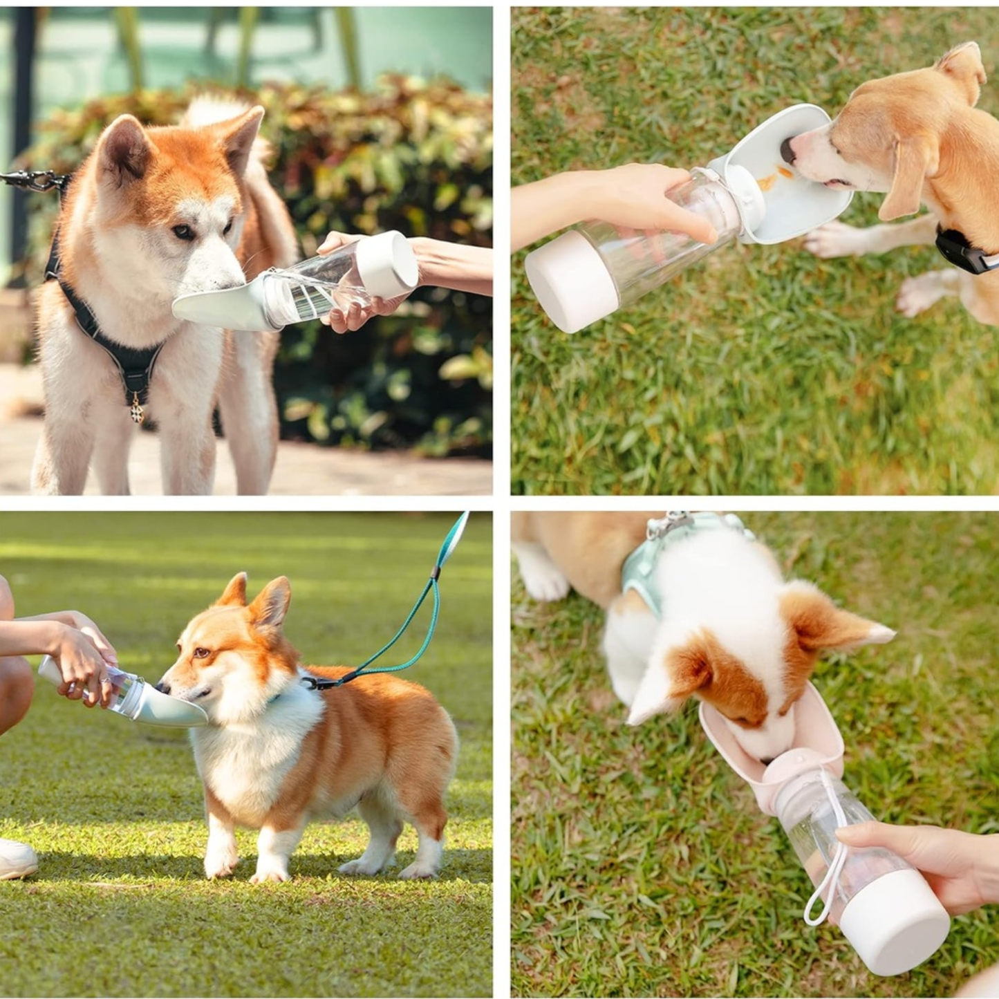 Dogness Water Bottle With Food Storage - Pink