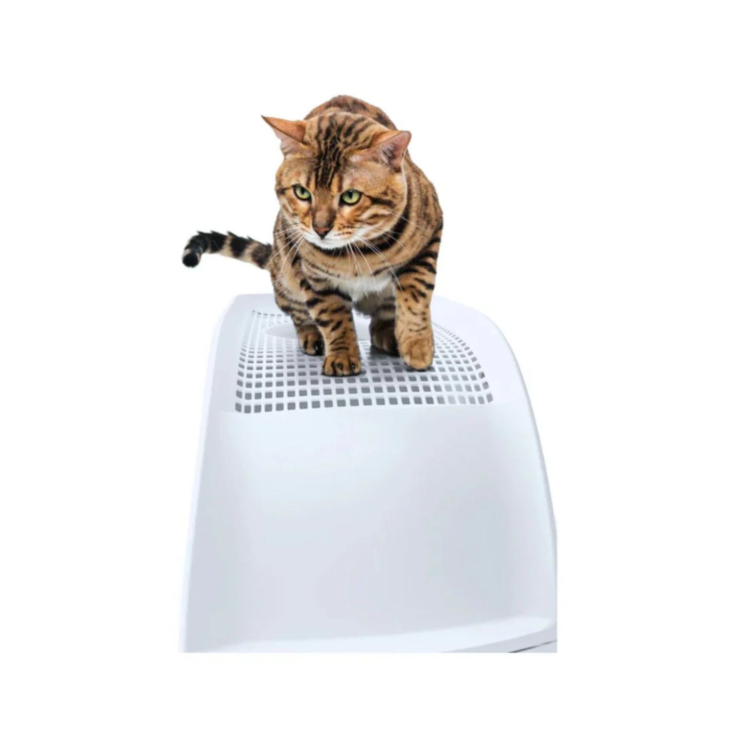 Imac Frida Hooded Cat Toilet - 40×56×43.5 cm