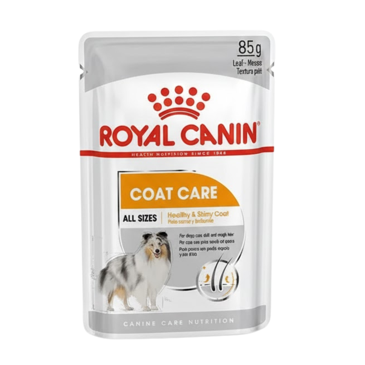 Royal Canin Nutrition Coat Care Dog Wet Food - 85g