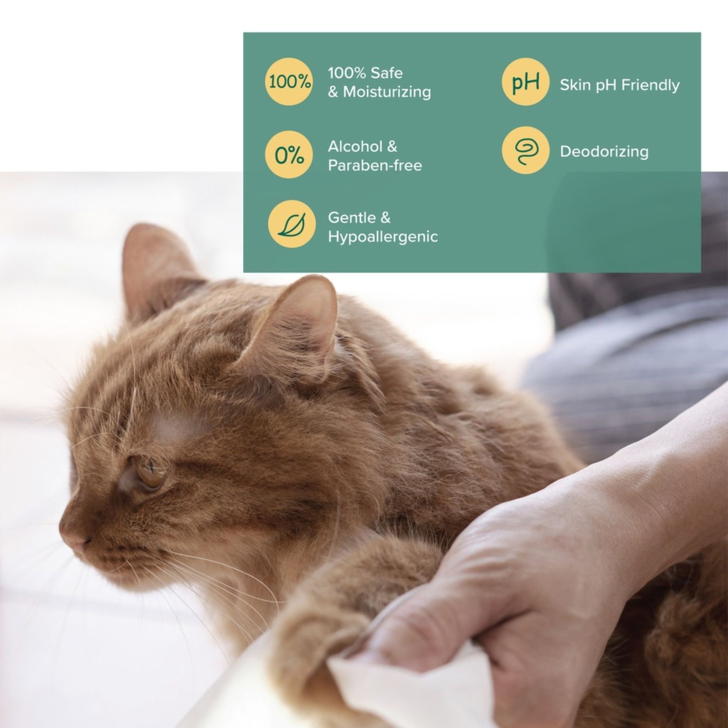 Cat being petted by a person with product features listed above on a green background