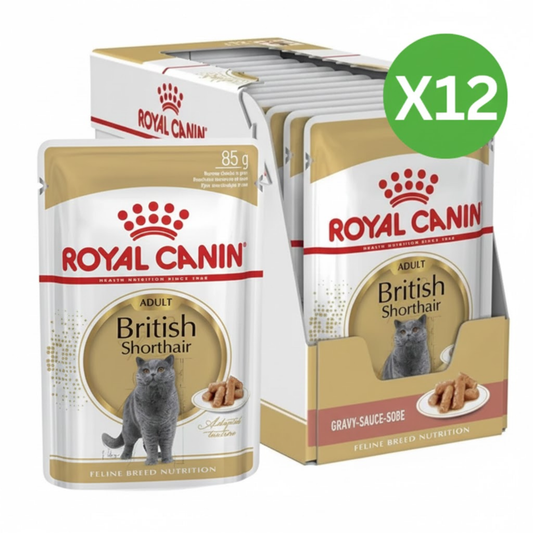 Royal Canin Feline Breed Nutrition British Shorthair Cat Wet Food - 12X85G