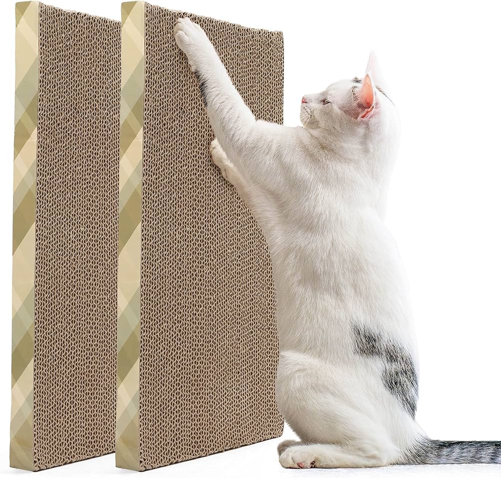 Cat Scratching Board