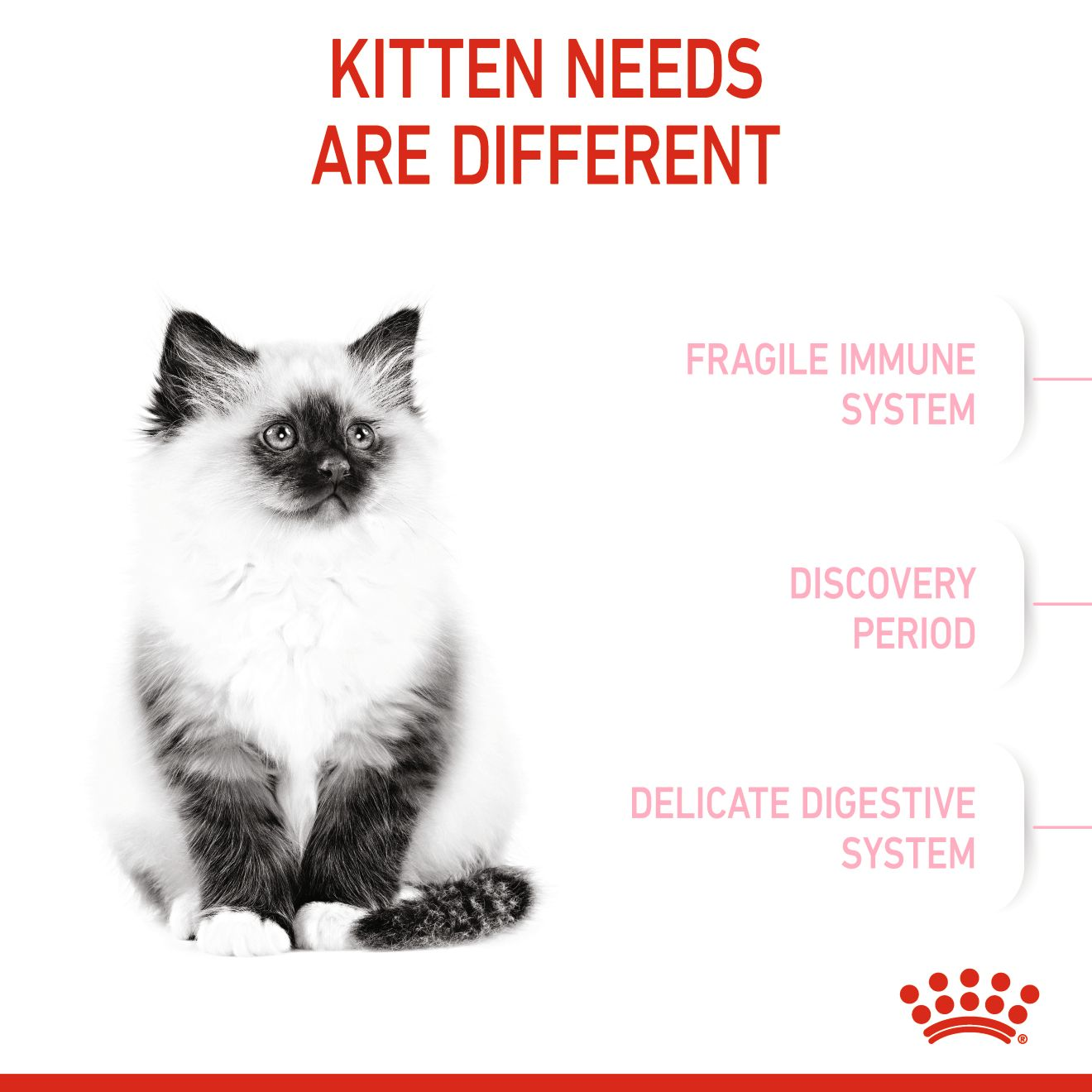 Royal Canin Feline Health Kitten Dry food 2kg