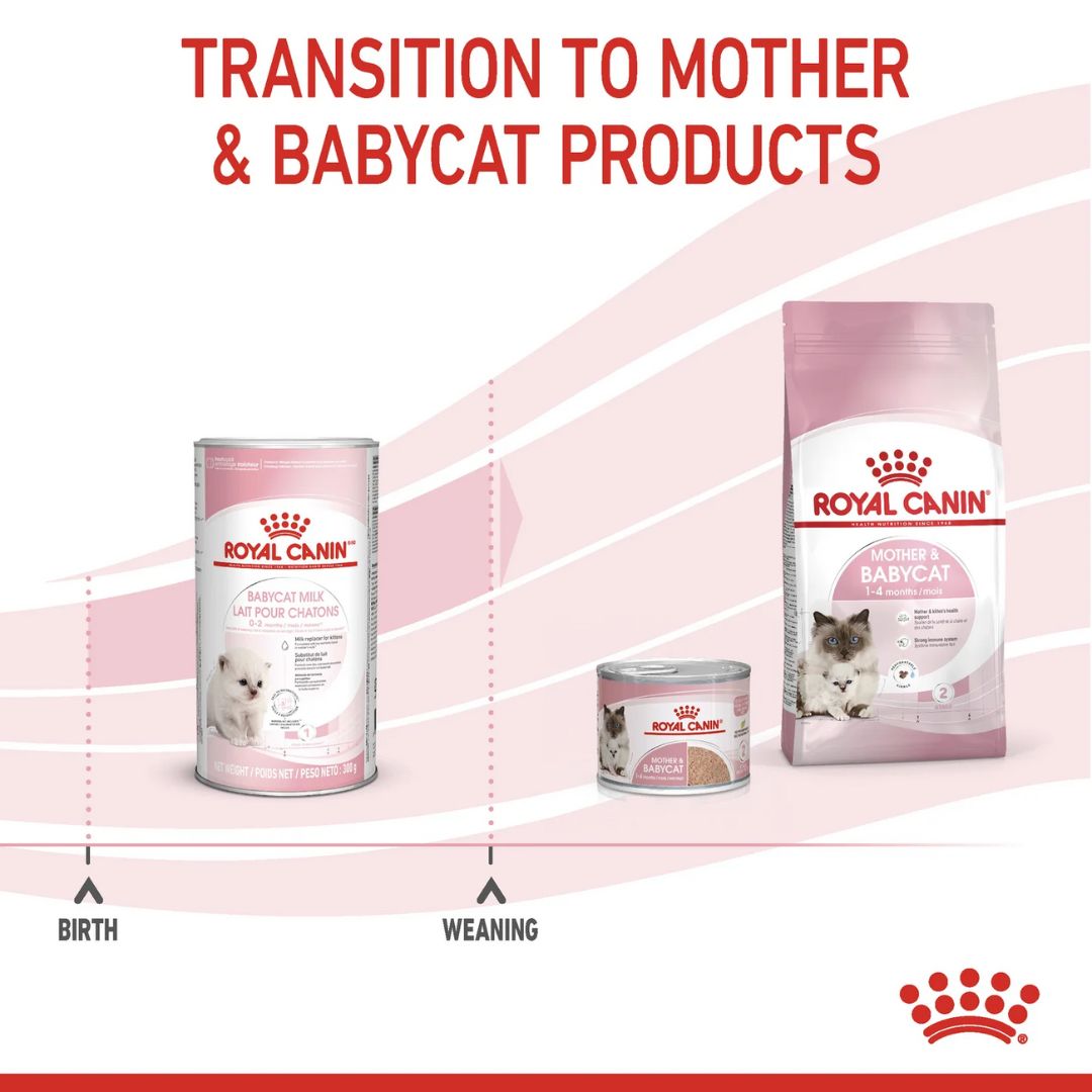 Royal Canin Feline Health Babycat Milk Powder 300g