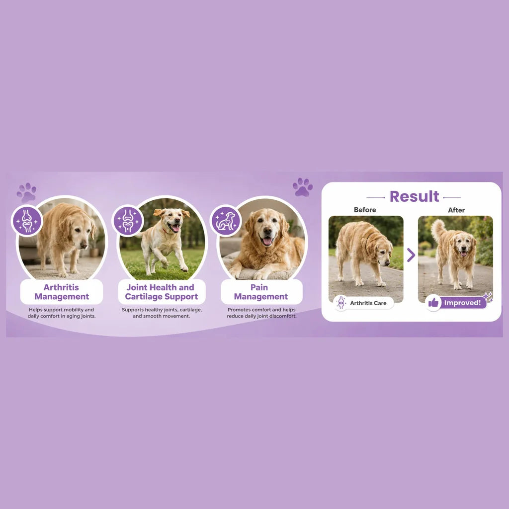 Altimate Dog Joint Care Supplement Chews - 250g