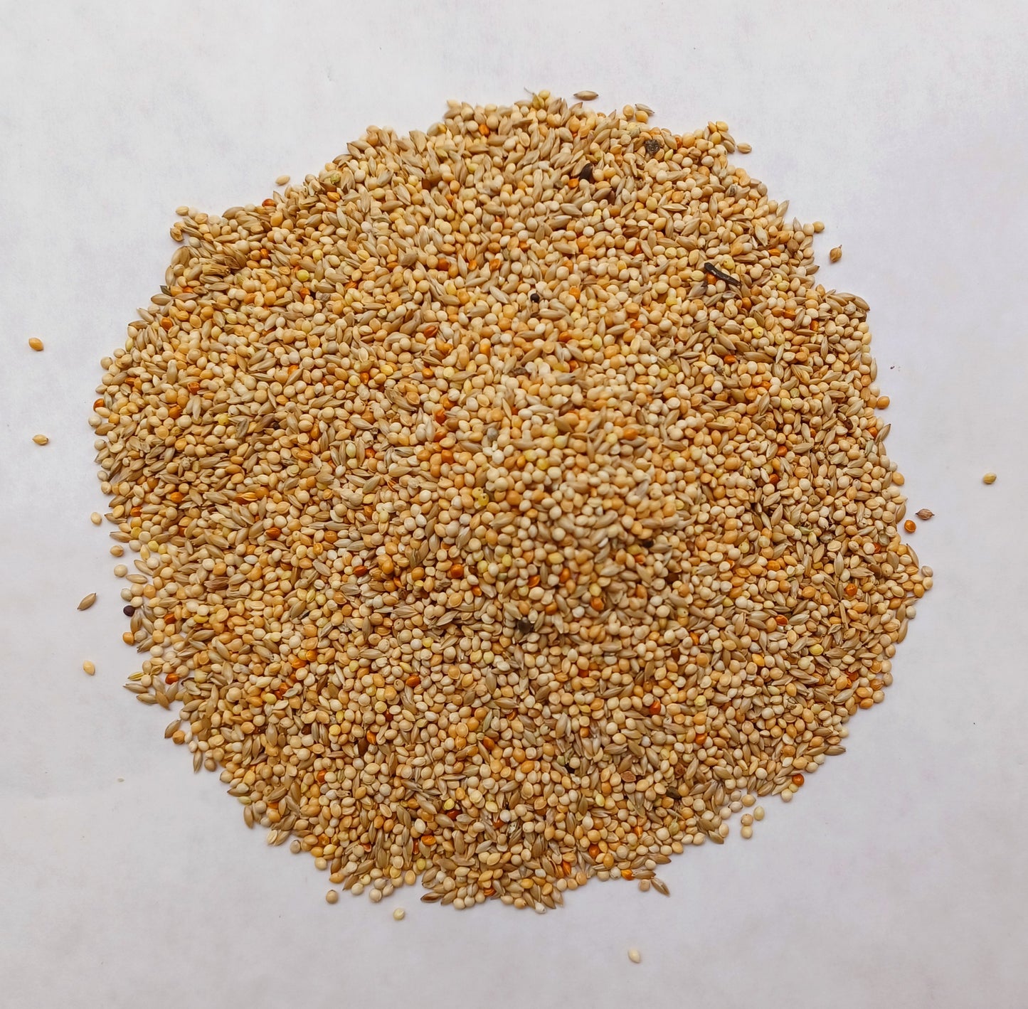 Duvo+ Budgie Mix - 20Kgweight: 20Kg
