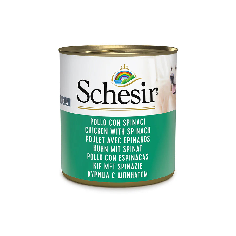 Schesir Dog Wet Food in Jelly Can-Chicken With Spinach 285g
