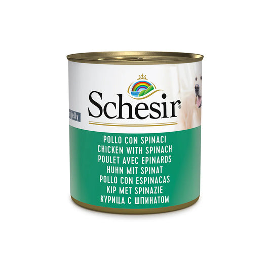 Schesir Dog Wet Food in Jelly Can-Chicken With Spinach 285g