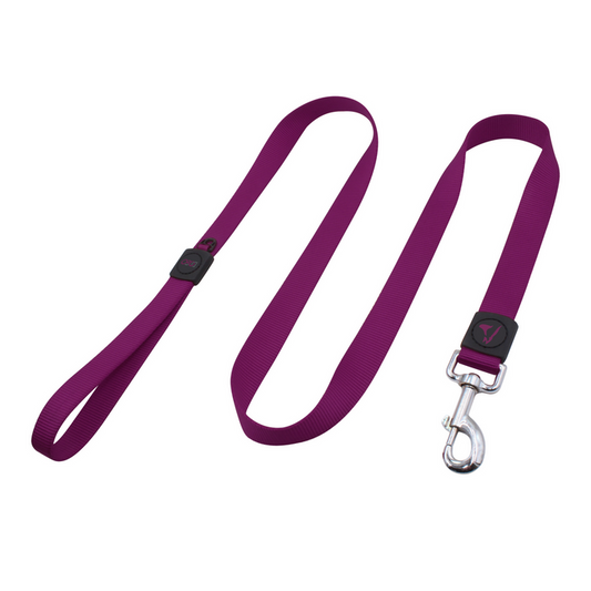 Doco® Easy-Snap -Hands Free Leash 6Ft (Dcs2072)Color: Purple, Sizes: S