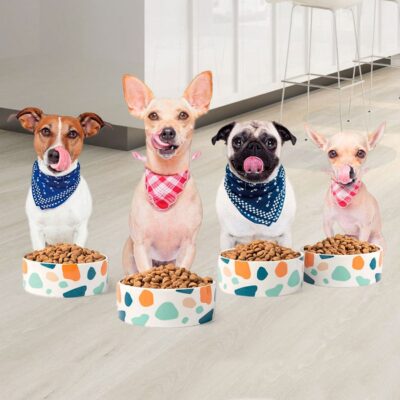 Imac Ceramic Dog Bowl [Dimension - Ø10x5cm]