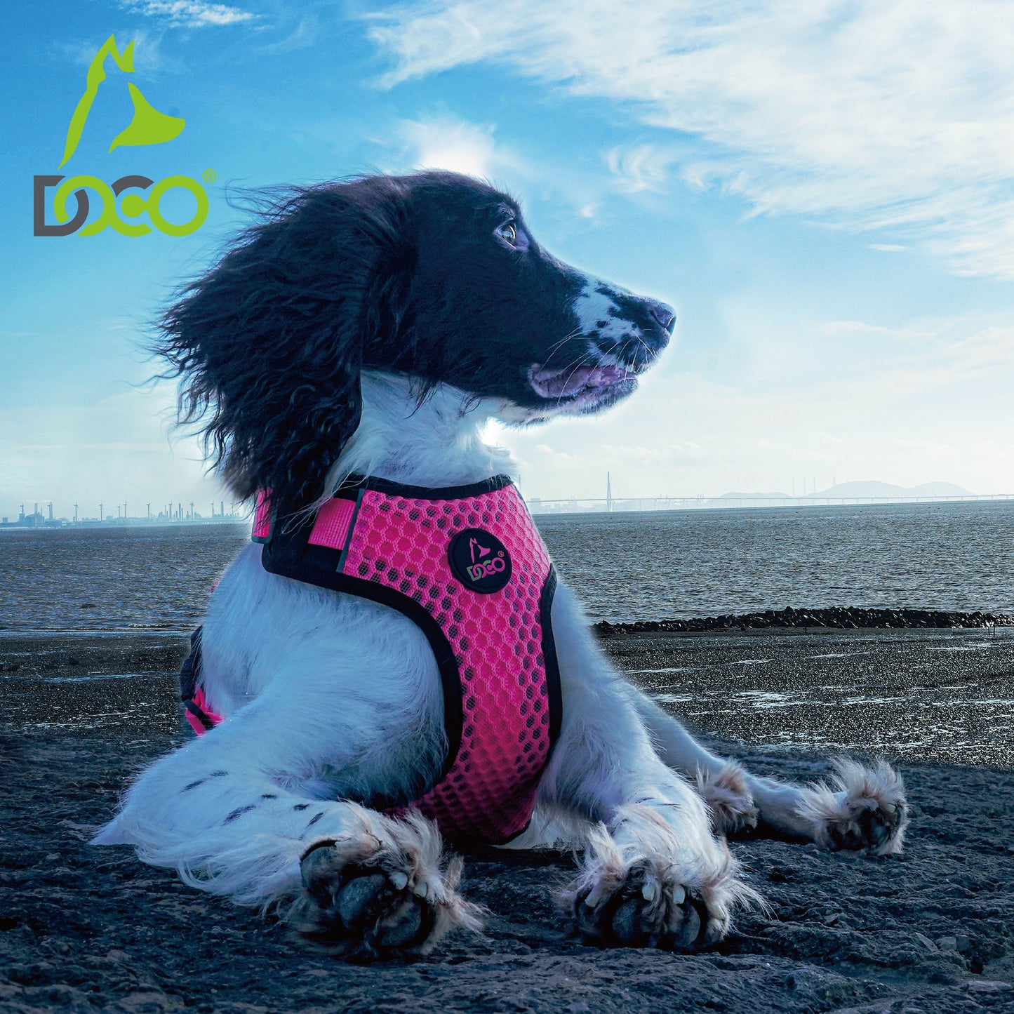 Doco Super Comfortable 3D Foam Dog Harness