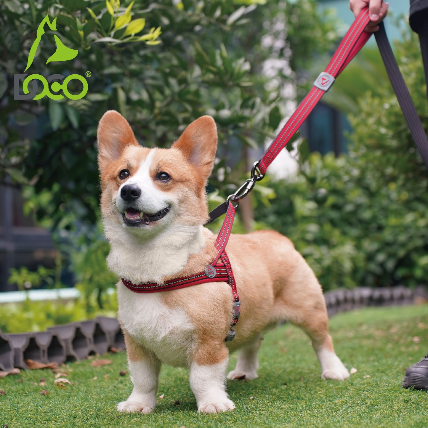 Doco Vario Neoprene Reflective Harness – Comfortable Dog Harness