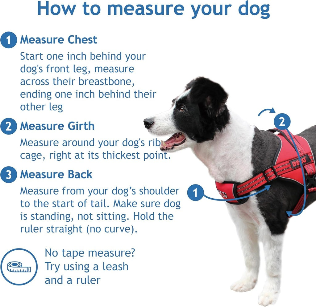 Doco Vertex Power For Dog Harness Small