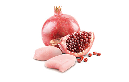 Farmina N&D Cat Prime Chicken & Pomegranate Kitten 80G