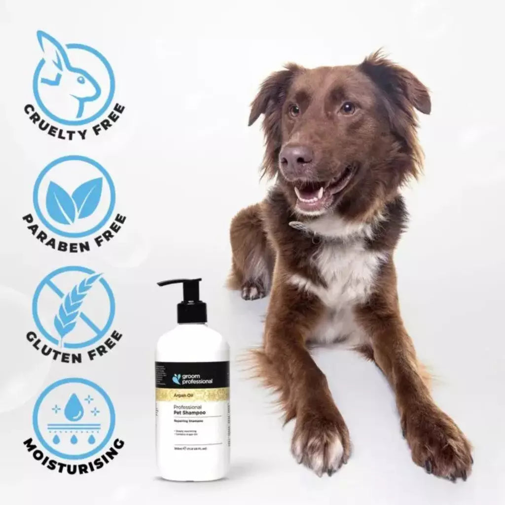 Groom Professional Argan Oil Shampoo for Dog & Cat