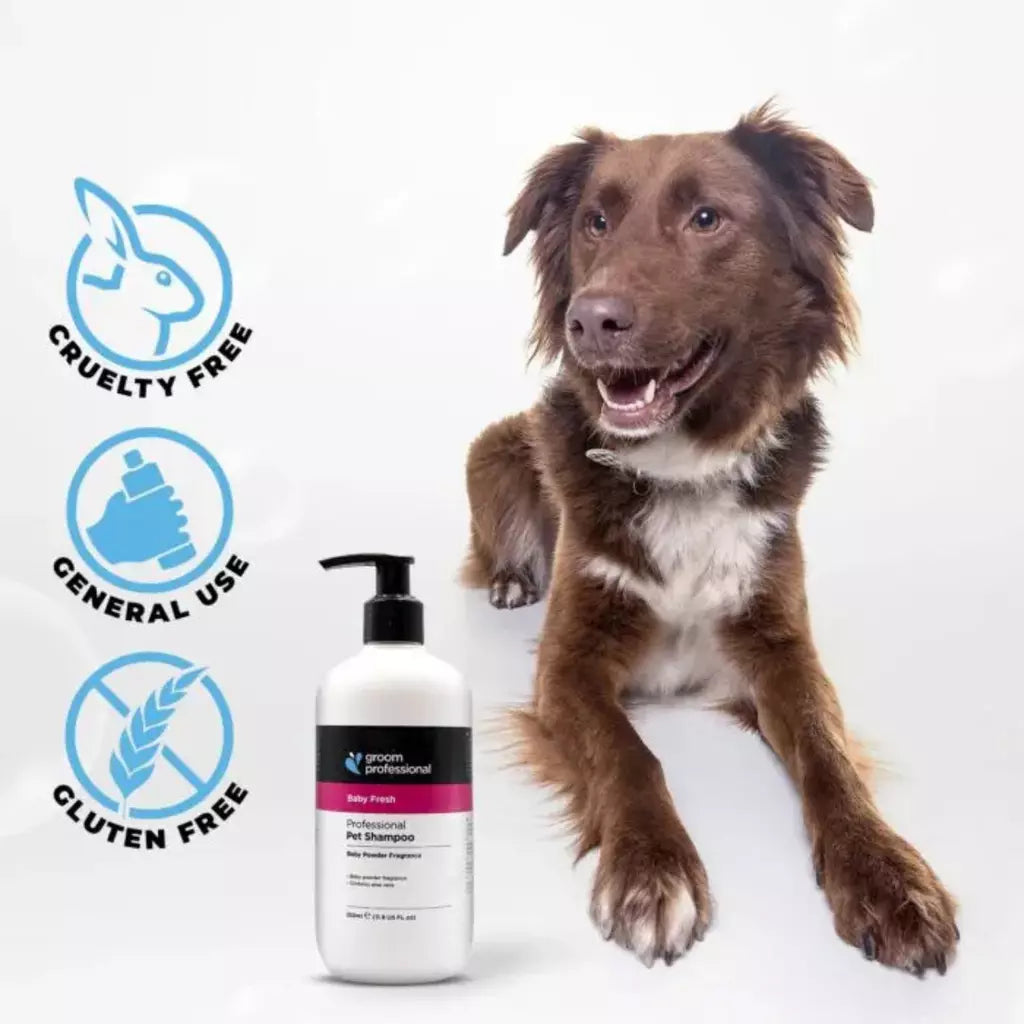Groom Professional Baby Fresh Shampoo for Dog & Cat