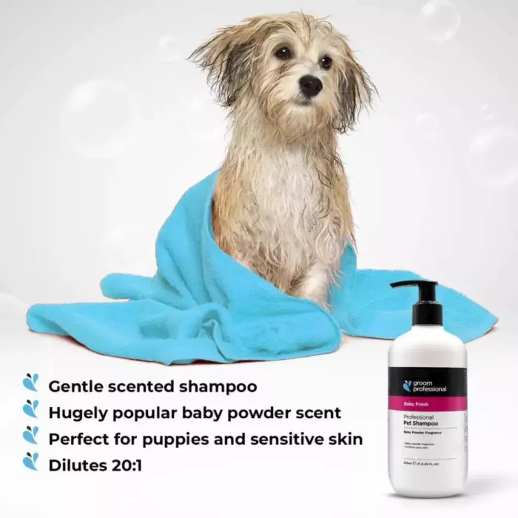 Groom Professional Baby Fresh Shampoo for Dog & Cat
