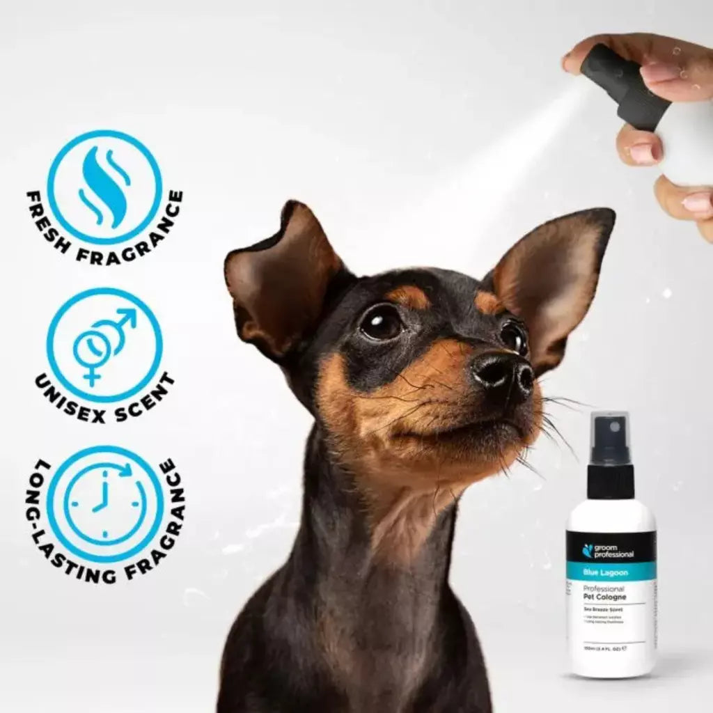 Groom Professional Blue Lagoon Sweet Breeze Perfume for Dog & Cat - 200ml