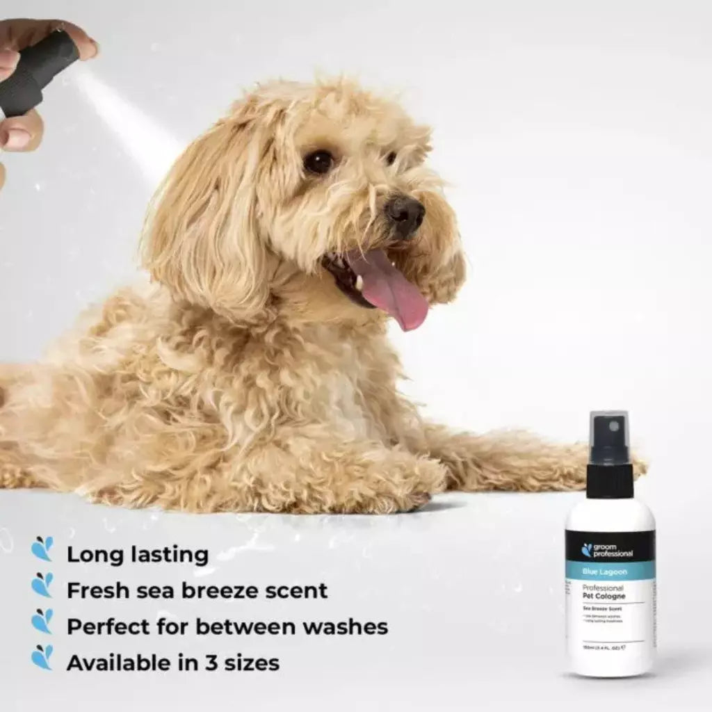 Groom Professional Blue Lagoon Sweet Breeze Perfume for Dog & Cat - 200ml