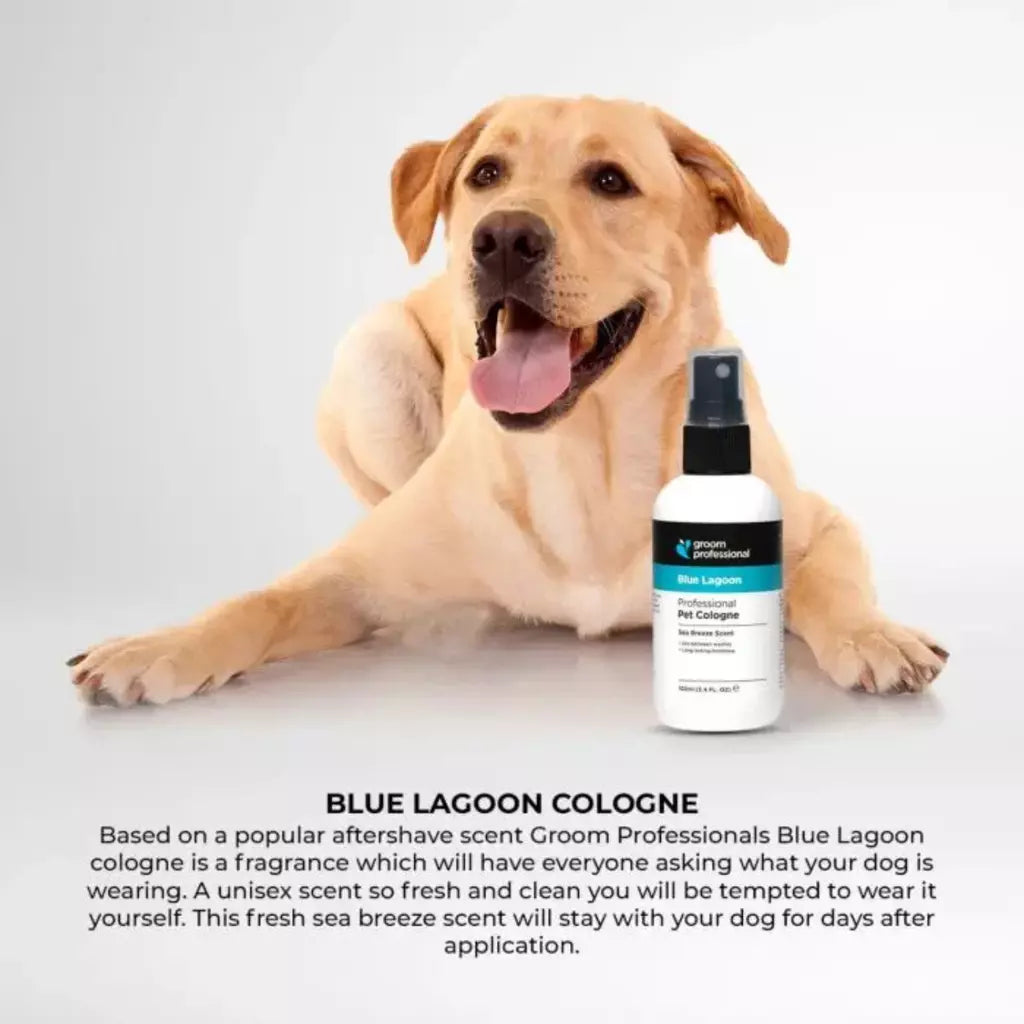 Groom Professional Blue Lagoon Sweet Breeze Perfume for Dog & Cat - 200ml
