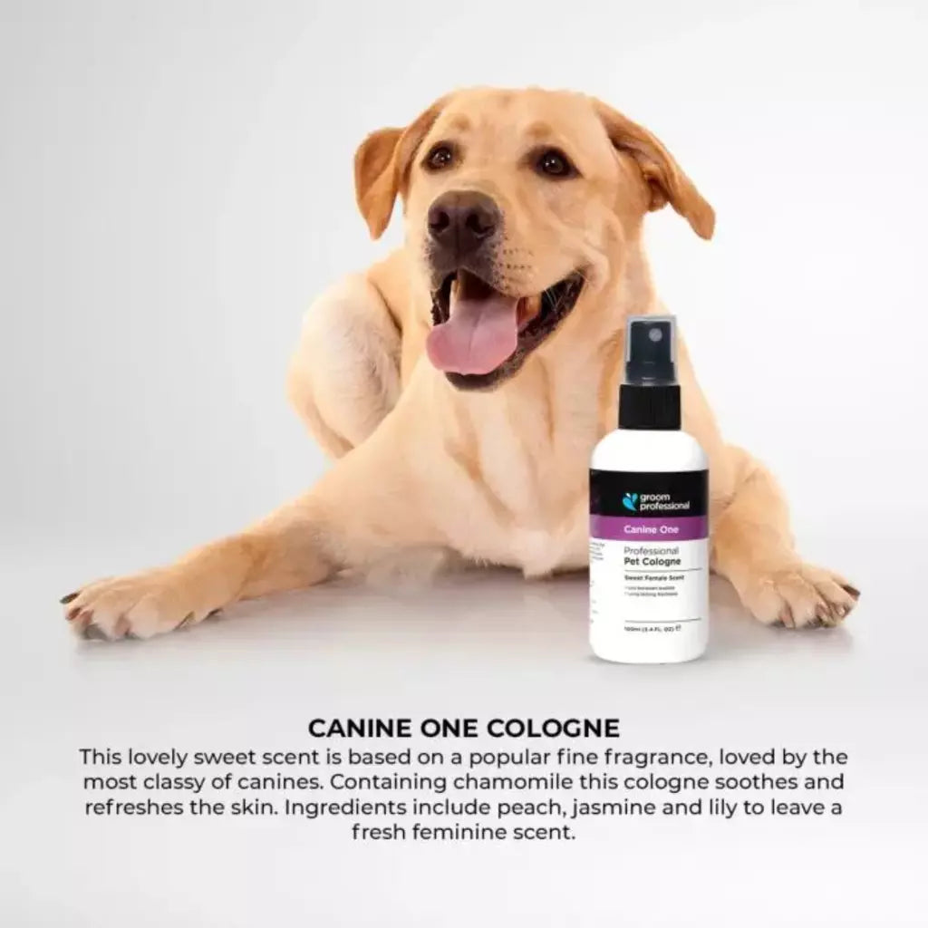 Groom Professional Canine One Cologne Sweet Female Scent - 200ML