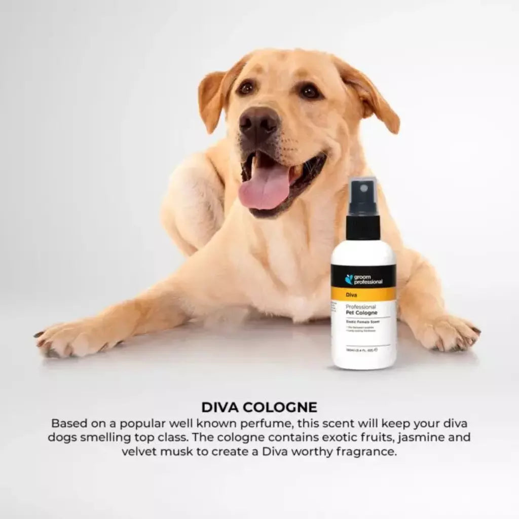 Groom Professional Diva Exotic Female Perfume for Dog & Cat