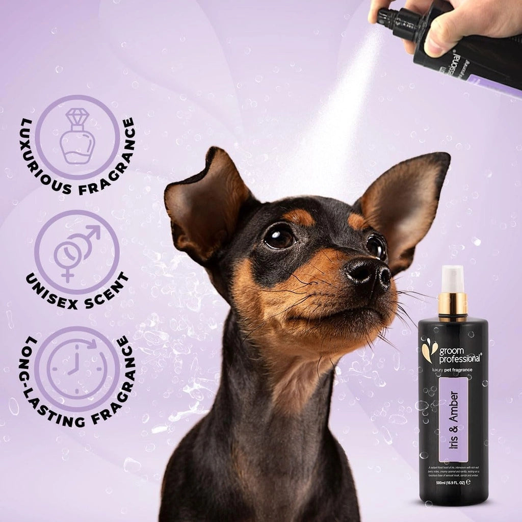 Groom Professional Exclusive Iris & Amber Perfume for Dog