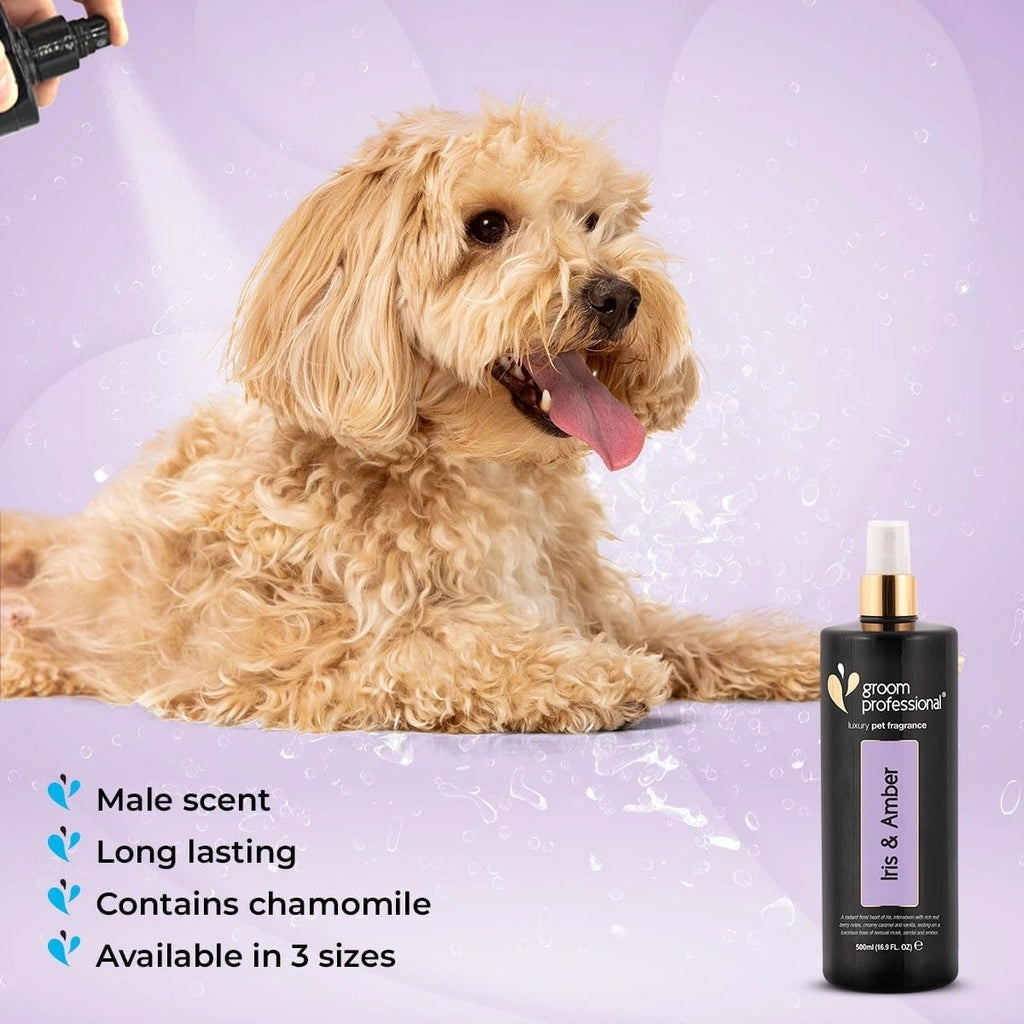 Groom Professional Exclusive Iris & Amber Perfume for Dog