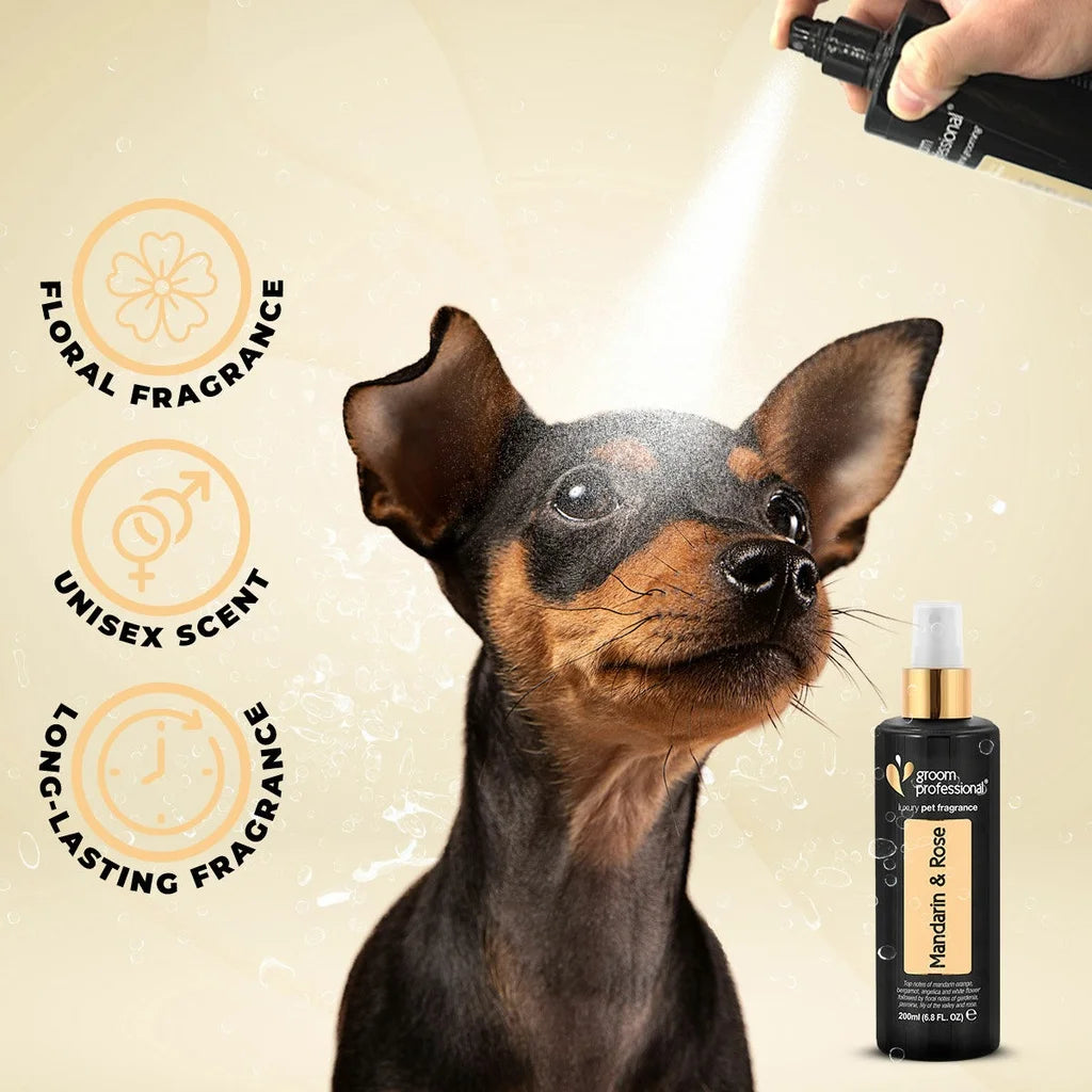 Groom Professional Exclusive Mandarin & Rose Fragrance for Dog