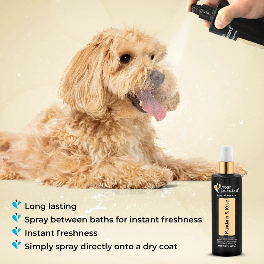 Groom Professional Exclusive Mandarin & Rose Fragrance for Dog