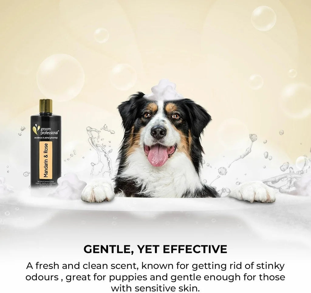 Groom Professional Mandarin & Rose Dog Shampoo - 450ML