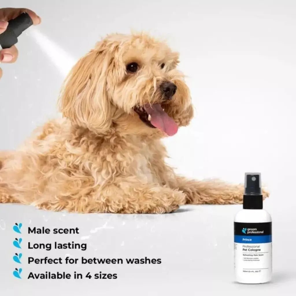 Groom Professional Prince Cologne Refreshing Male Scent