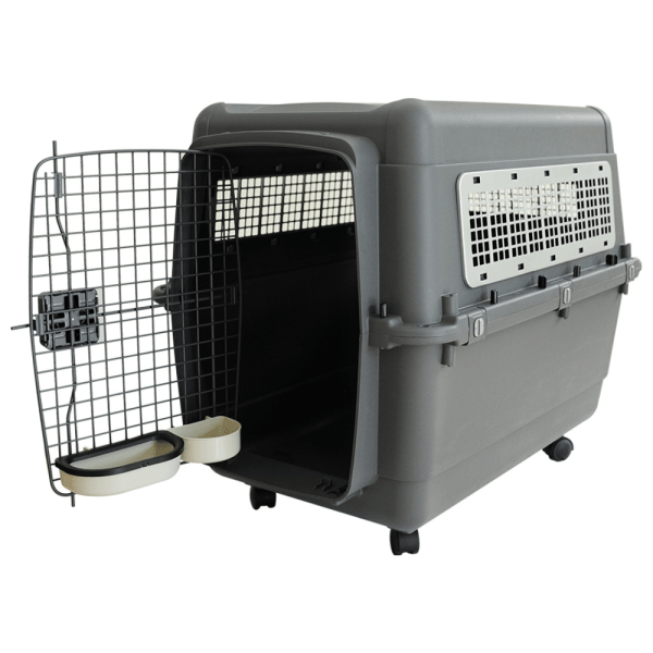 Pet Mode Plastic Transporter Pet Carrier